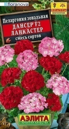 1f9c8da2-f80a-11ea-b984-005056c00008-2