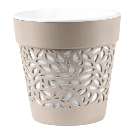 ed621998-da2e-11ef-8915-246e9611e8f5-1