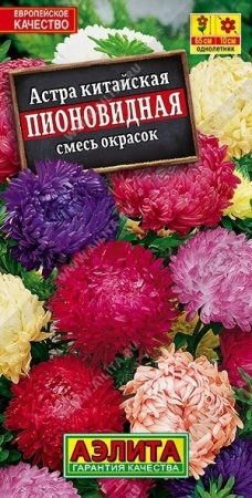 6a97b328-dcea-11dd-9138-00500454e615-1