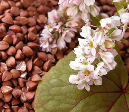 61e97d04-e453-11e6-bb6f-001e673ebdea-1