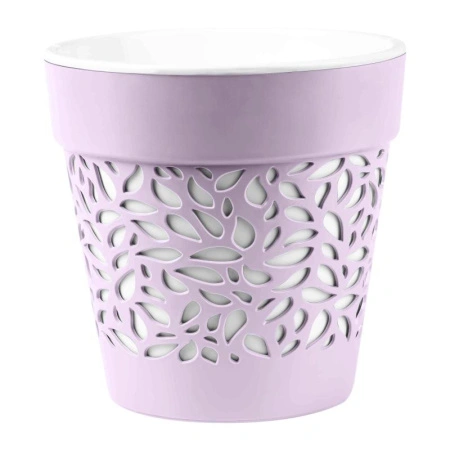 71fdf00c-da33-11ef-8915-246e9611e8f5-1