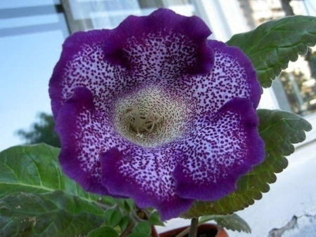 2c3c9a4e-3741-11eb-b90a-005056c00008-1