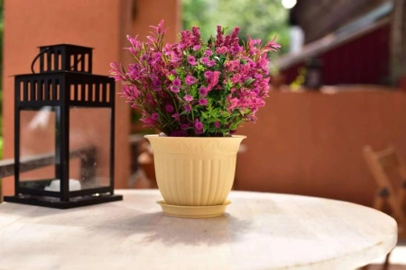 a48fd60c-580b-11ed-aea3-001e673ebdea-1