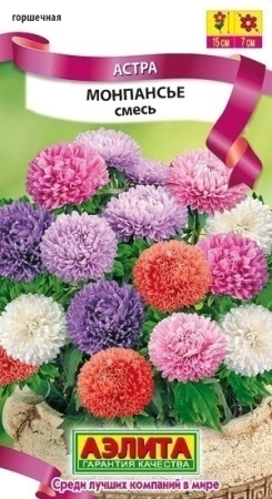 202d5be2-3c02-11e0-9b93-00500454e615-2