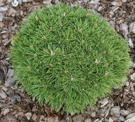 7ad14abf-c2a3-11ef-8915-246e9611e8f5-1