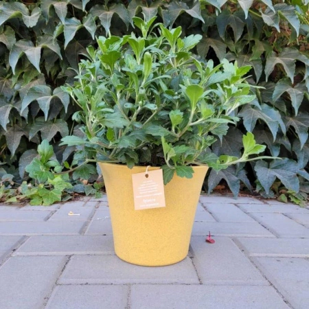 b462c1e3-682b-11ee-ae0a-001e673ebdea-1