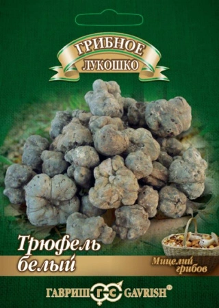 c576eb82-1e94-11e3-8fce-00500454e615-1