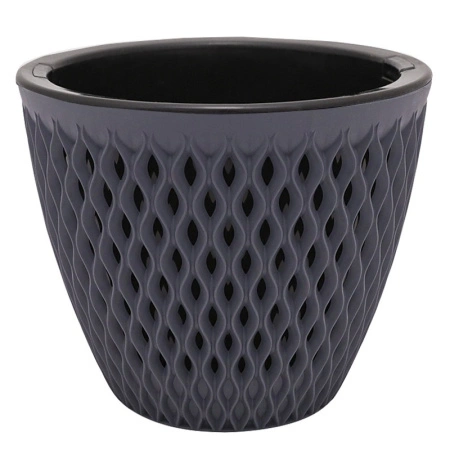 99778556-daff-11ef-8915-246e9611e8f5-1