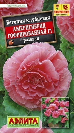 f375ab85-104b-11eb-add8-005056c00008-1