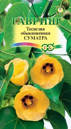 9a96564f-59d7-11e0-b405-00500454e615-1