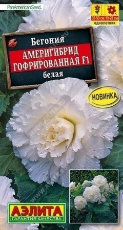 de1a7b81-f8c5-11ea-b984-005056c00008-2