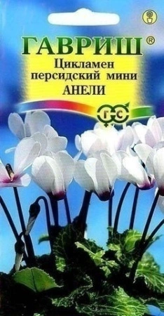 0416b19e-c551-11de-87aa-0019dbe91ea3-2