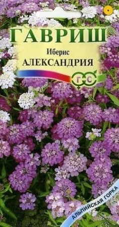 f890c913-c60d-11de-87ad-0019dbe91ea3-2