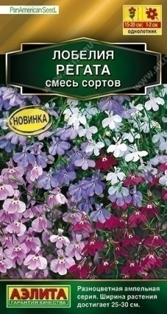 fe438b1c-f807-11ea-b984-005056c00008-2