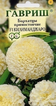 1e9b92f9-c608-11de-87ad-0019dbe91ea3-2