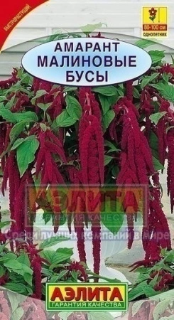 cc8c132c-4cee-11e3-98e1-00500454e615-2