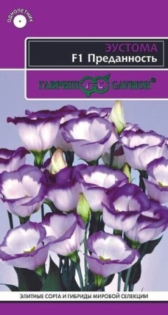 58c0cb2e-e832-11ea-86cc-005056c00008-1