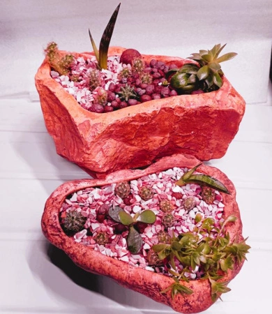 10861d7a-54a7-11ef-8910-246e9611e8f6-1