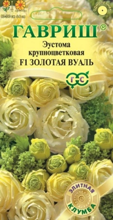 7ec5f613-1138-11eb-add8-005056c00008-1