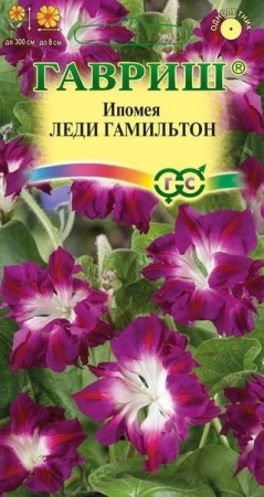 af8cd422-6894-11e3-aaca-00500454e615-1