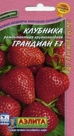 7d524c73-dcea-11dd-9138-00500454e615-2