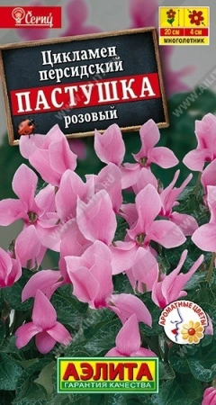 7972014c-4806-11e1-82d8-00500454e615-1