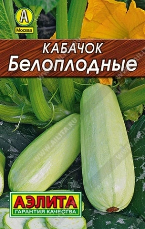 6553f490_80b4_11ef_812d_0cc47adb9c64_ea91a400_8c83_11ef_812d_0cc47adb9c64