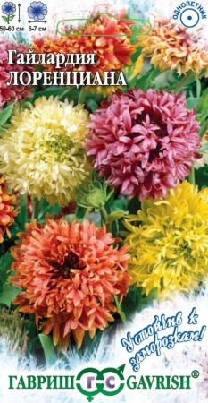 70f41aa7-dcea-11dd-9138-00500454e615-1