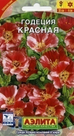 70f41b5b-dcea-11dd-9138-00500454e615-2