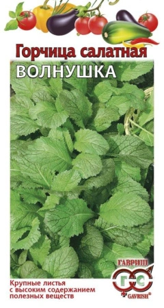 b0826b07-3d41-11ed-9119-001e673ebdea-1