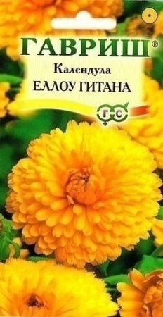 7757a88b-dcea-11dd-9138-00500454e615-2