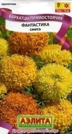 db4d883e-1532-11df-880e-0019dbe91ea3-2