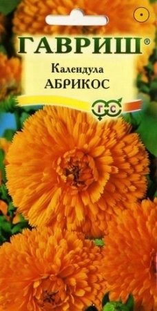 7757a877-dcea-11dd-9138-00500454e615-1