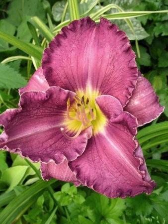 0b5db1d8-000d-11f0-8915-246e9611e8f5-1