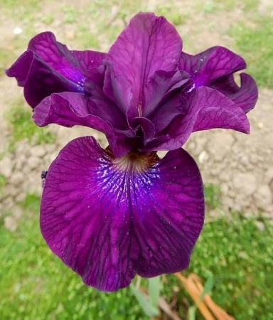 fd09a20f-ffeb-11ef-8915-246e9611e8f5-1