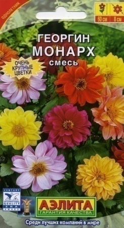 70f41b1b-dcea-11dd-9138-00500454e615-2