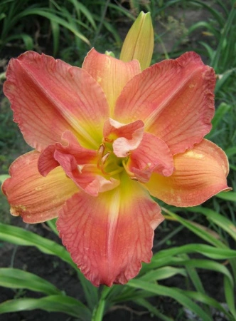 e43675aa-000f-11f0-8915-246e9611e8f5-1