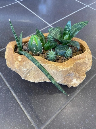 10861d7a-54a7-11ef-8910-246e9611e8f6-2