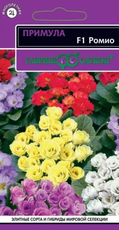 6e79e10d-0acb-11e2-9c64-00500454e615-1