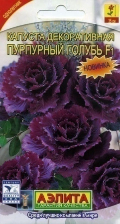 7757a61d-dcea-11dd-9138-00500454e615-2