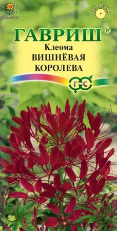 9d8dbec3-c615-11de-87ad-0019dbe91ea3-1