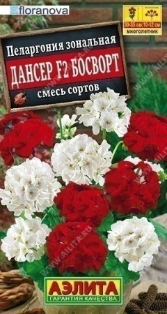 d3ec4c6c-f809-11ea-b984-005056c00008-2