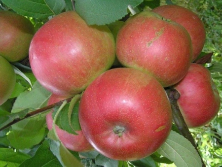 cb1b9278-2f0b-11f0-8918-246e9611e8f6-1