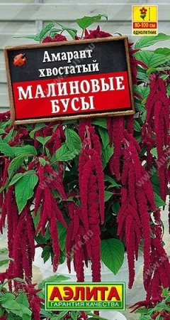 cc8c132c-4cee-11e3-98e1-00500454e615-1