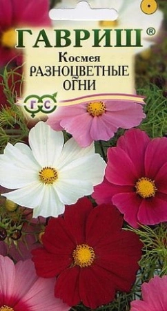 7d524d31-dcea-11dd-9138-00500454e615-2