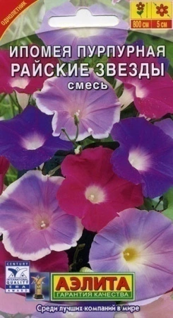 7757a7c8-dcea-11dd-9138-00500454e615-2