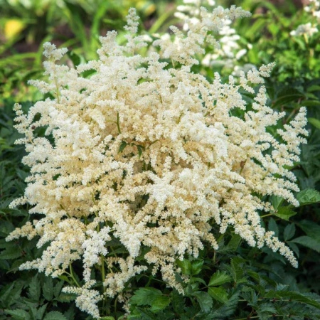 e0b6d67f-c636-11ec-9a28-005056c00008-1