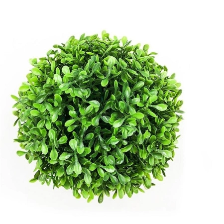 17d73fad-f350-11ef-8915-246e9611e8f5-1