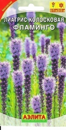 0554bf2f-45ee-11e2-bff7-00500454e615-2