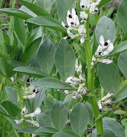 479f0442-a267-11eb-93b3-005056c00008-1